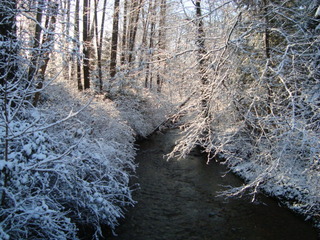 DSC09775