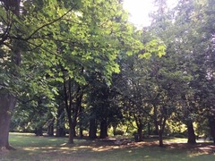IMG_5555