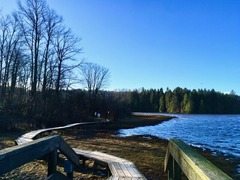 IMG_7416