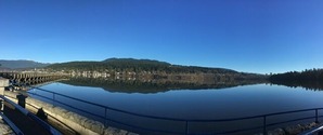 IMG_6957