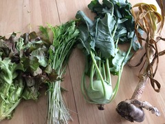 vege