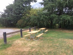 Cedar Dr Park_Picnic Table