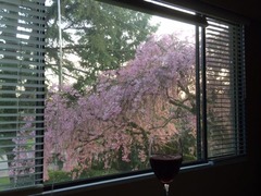 Sakura with wine