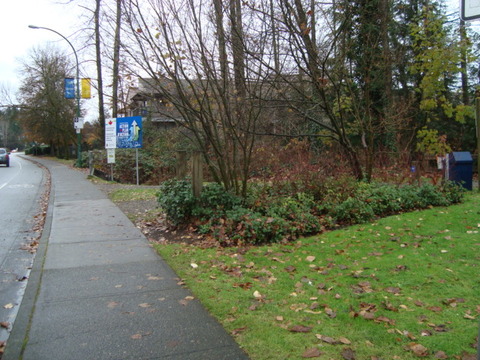 DSC09734