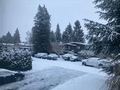 Snow_1225_1