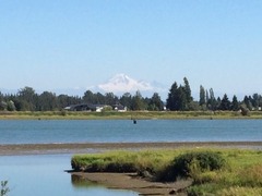 Baker_Pitt River