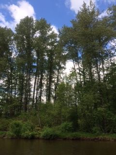 Poco trail2