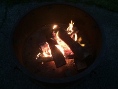 Fire Pit4