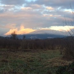 Burke Mtn