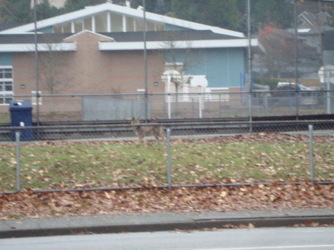 DSC09731