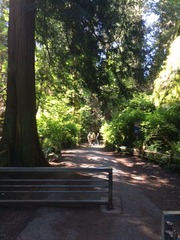 Trail Entrance