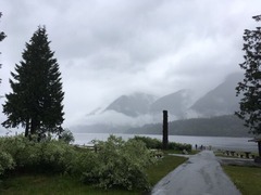 IMG_4917