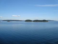 DSC09190