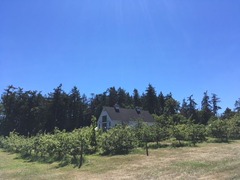 Sea Cider Winery