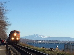 Train_Mt Baker