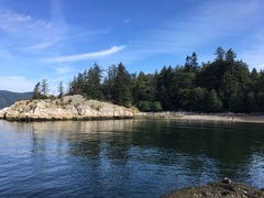 IMG_5889
