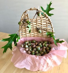 どんぐり