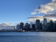 Canada Place from Stanley Park