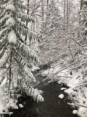 Coq River 1225