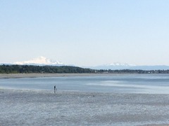 White Rock4