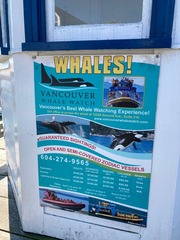 Whales Tour Sign