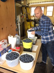 Blueberry baskets
