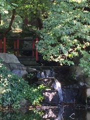 IMG_5529