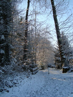 DSC09772