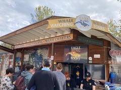Whale Tour_Reception Fisherman s Wharf