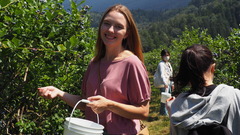 Blueberry Pick