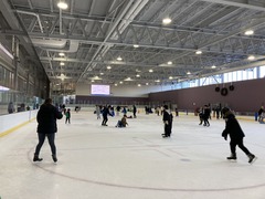 Ice Skate3