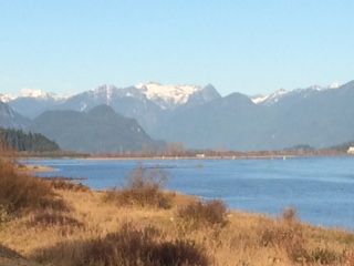 Poco trail3