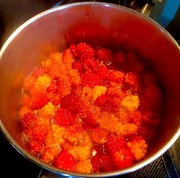 salmon berry2