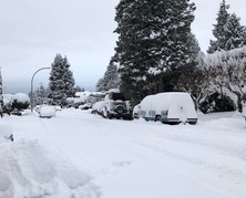 雪近所