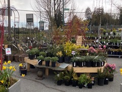 Nursery2