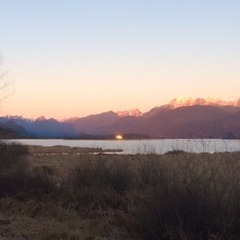 Pitt River