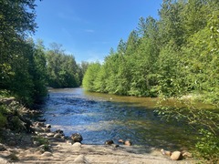 Coquitlam River