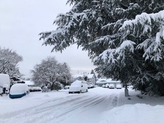 雪近所1