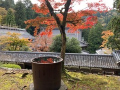 永平寺10