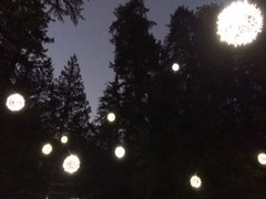 Capi Lights2