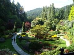 DSC09117