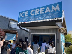Ice Cream_Eco Farm