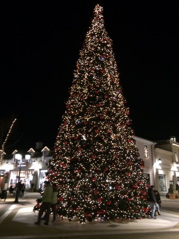 Christmas Tree Outlet YVR