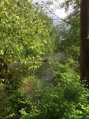 Gate Park Trail