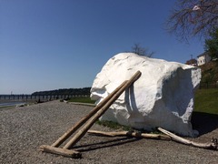 White Rock5Rock
