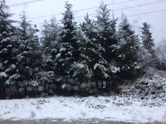バンクーバー初雪