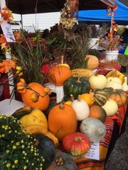 Pumpkin