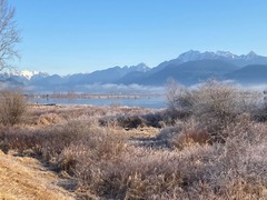 Pitt River012321_b