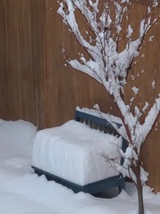 雪ベンチ