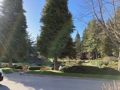 Front pond